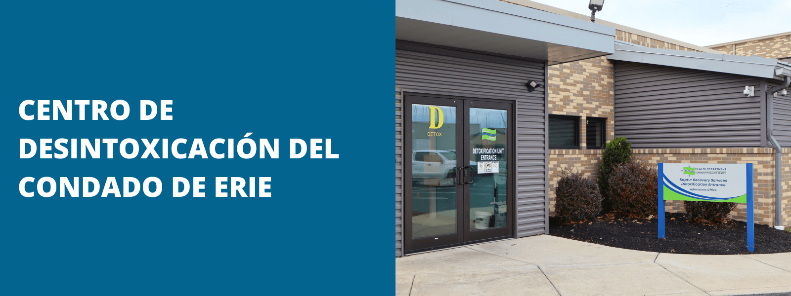 Detox Banner Spanish